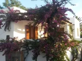 Casa Marel