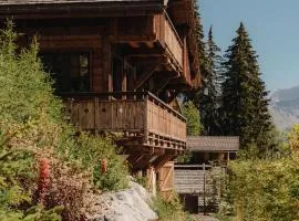 MAISON DOMINOS Chalet de Luxe 5 chambres Vue MontBlanc ,Spa, Jacuzzi, Salle de sport