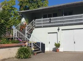Ferienwohnung Striegistal