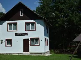 Colț de Vâlsan