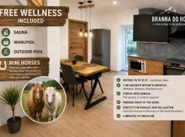 Apartmán Branná hodnocení 10 Wellness zdarma Vleky 5 min