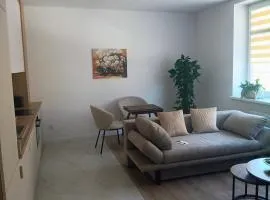 Apartament Nowy Gryf w centrum Szczecinka