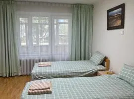 Cozy 2 BR Apartment with Easy Access