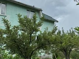 Ali Center