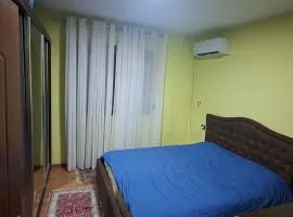 Modern Apartment