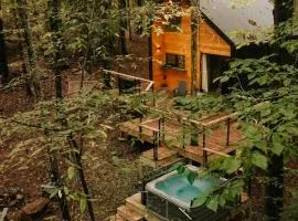 Private Forest Cabin with Hot Tub