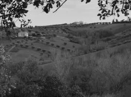 Fattoria Riomoro