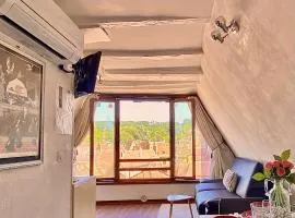 Appartement la Belle Vue Panoramique