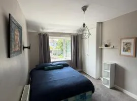 Cosy Triple Room Dublin South 1