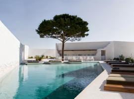 ANOME Mykonos Experience Hotel, hotel v destinaci Ornos