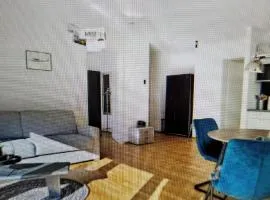 Spacious and comfortable property in Les Gets