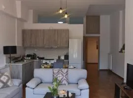 Fully renovated apartment-Trikala Agia Moni