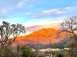 Casa U Mucale - Chambres d'hôtes - entre Calvi et le GR20