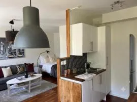 New Luxurious Cozy Furnished Apartment