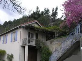 Gite du Pin en Cévennes