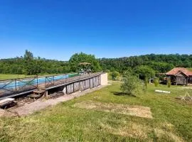 Awesome Home In Saint-Sulpice-De-Rouma