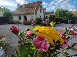 Charmante Maison Bourbonnaise du XVIIIe avec Animaux Acceptés - FR-1-489-393