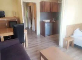 Appartement cosy, vue pistes - 4 pers. - FR-1-292-238