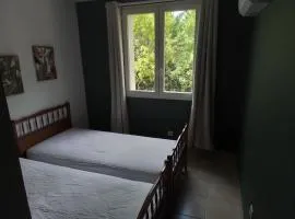 Mas Carlo 3