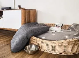 Hundefreundliche Familienwohnung in Grächen