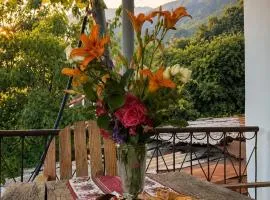 Narine Bed and Breakfast, Tour