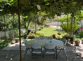 Green Atelier Garden near Kotor