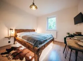 Apartmán NIC VÍC