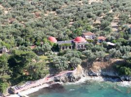 Aegean Beachfront Dream House - With service!、ディキリのホテル