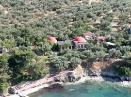 Aegean Beachfront Dream House - With service!