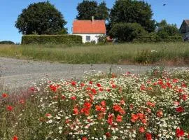Stay in the middle of nature on Österlen