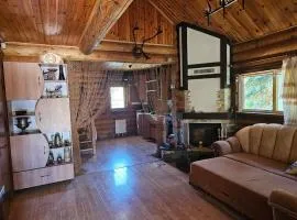 Outbreak house with outdoor pool, BBQ and dining