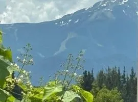 Modern apartment with a view of Pirin