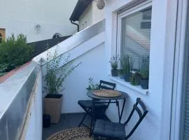 Dachterrassen Apartment Pfälzer Wald & Weinregion