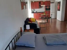 Apartman Dejanović 1