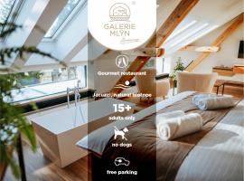 Galerie mlýn Žeraviny, hotel en Žeraviny