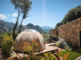 DOMAINE LE CHEMIN DES OLIVIERS OCANA TENTE BULLE STUDIO ET JACUZZI 2 à 4 PERSONNES