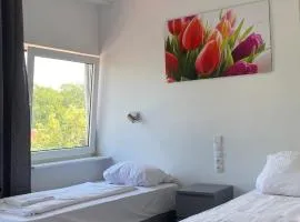 Rosenhof am Main