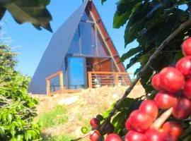 Paradise In Coffee