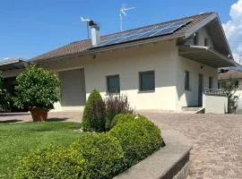 Mirtillo