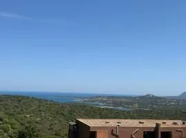 Cugnana dream