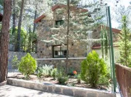 Platres Mountain Cottage