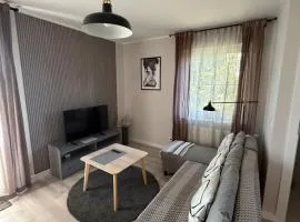Apartament 9 Rydzyna
