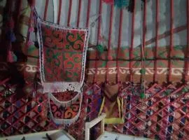 Alima