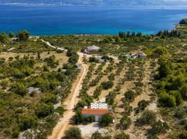Olive Garden Home with Jacuzzi and Privacy, hotell i Mirce