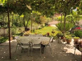 Green Atelier Garden near Kotor