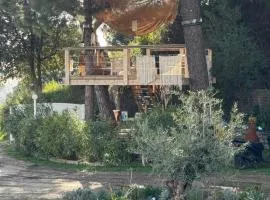 un petit coin de Paradis