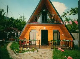 Mountain Cottage - Ananuri