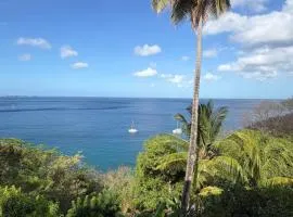 New-build Oceanview Moliniere Apartment Near Beaches