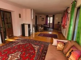 Apartments Minja