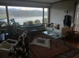 Zimmer mit Panoramablick auf den Zürichsee mit eigenes Bad und Terrasse